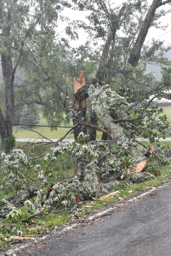 EF1 tornado confirmed near St. C. | News, Sports, Jobs - Vimarsana News